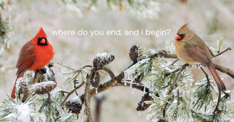 (Early Bird ends Sunday) Balm for Resonant Beings 🐦‍⬛