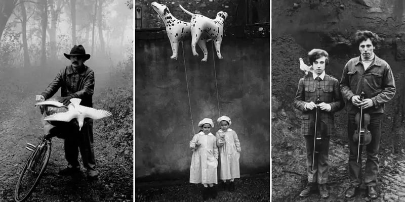 AI Tools for Video Color Grading and Visual Poetry Through the Lens