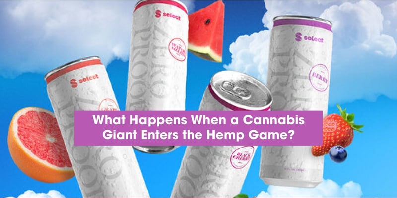 Get Curious 🌱 Sip Alert: are hemp beverages the new drinks? 🍷🍹🍸🍺