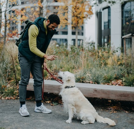 🐕 5 training cues that make life easier