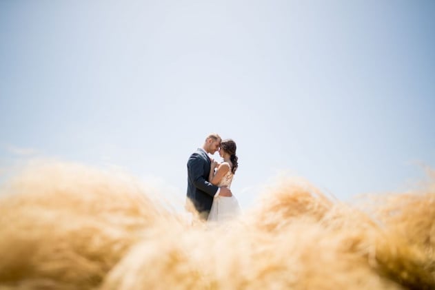 Nineteen Years Through the Lens and Picture Perfect Focus