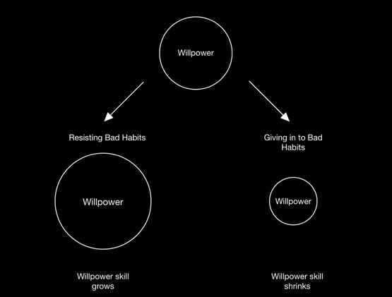 How To Increase Your Willpower