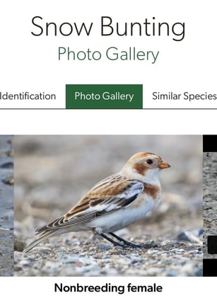 Justice Walks November 2025