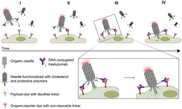 DNA Origami Needles: Virus-Inspired Nanostructures for Drug Delivery!