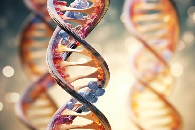 Understanding DNA The Code of Who We Are
