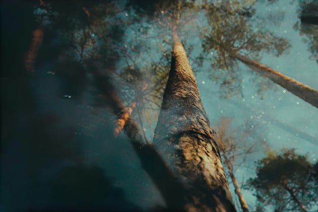 What If the Land Could Teach Us? 