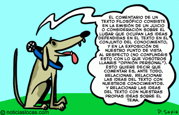 Un collar traduce lo que piensa tu perro