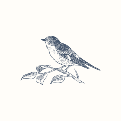 Nokia, Two Sigma, TotalWine