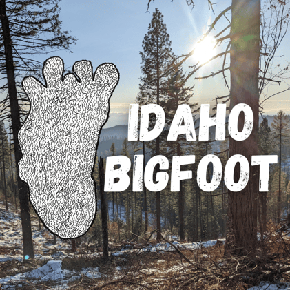 New videos on the channel