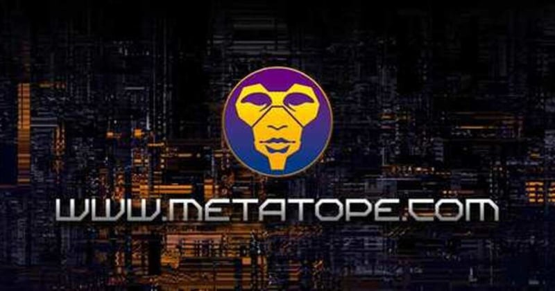 MetaTope Newsletter