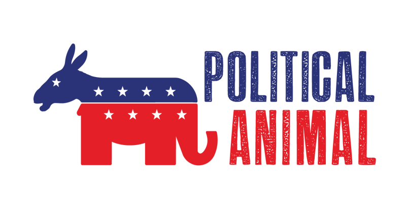 PROFIT+ rebrand: A new format and delivery schedule 