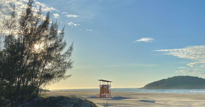  Fui desafiada a criar uma Newsletter!!!