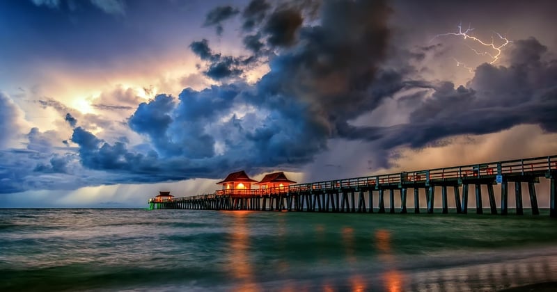 🌴 What's Happening in Naples This Week