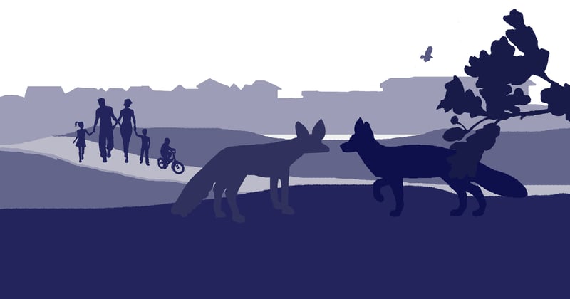 Whiteley Town Council