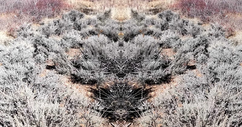 Exciting preparation!