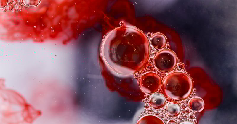 Rosh Hashanah 2023, the Jewish New Year, begins on Friday evening when the sun goes down.