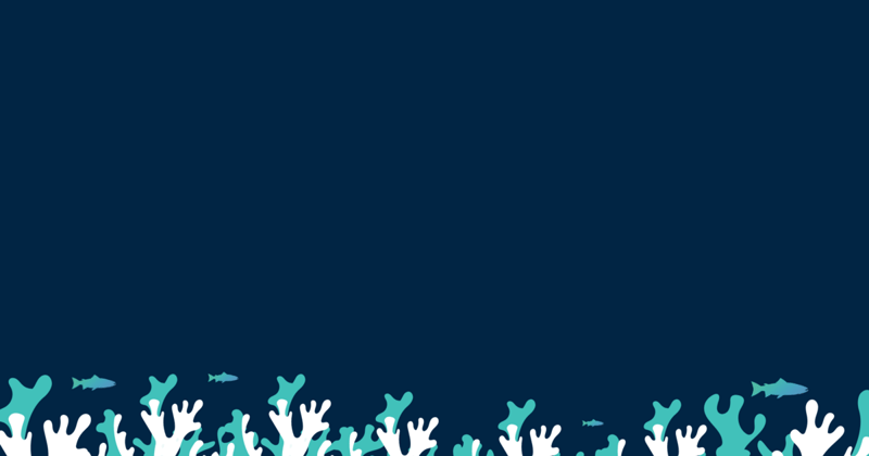 PHAROS Newsletter – January 2025 Edition
