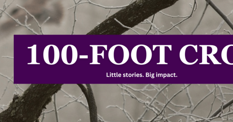 Better late than never