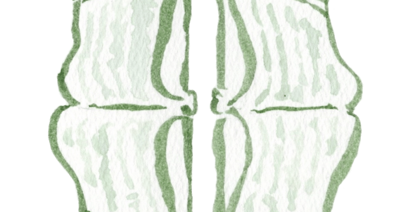 November & December 2025 recap