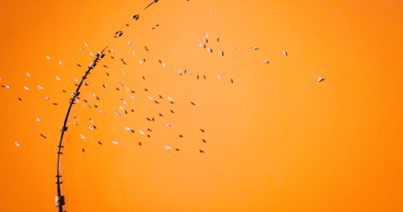 Three Take Aways From Building a Community From Scratch 