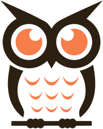 The Wise Guy By Hoshi