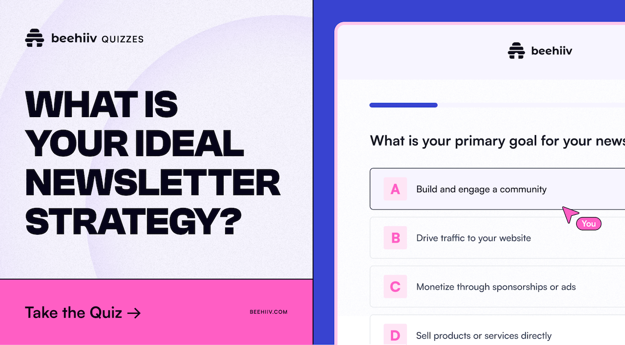 Whats is your ideal newsletter strategy?