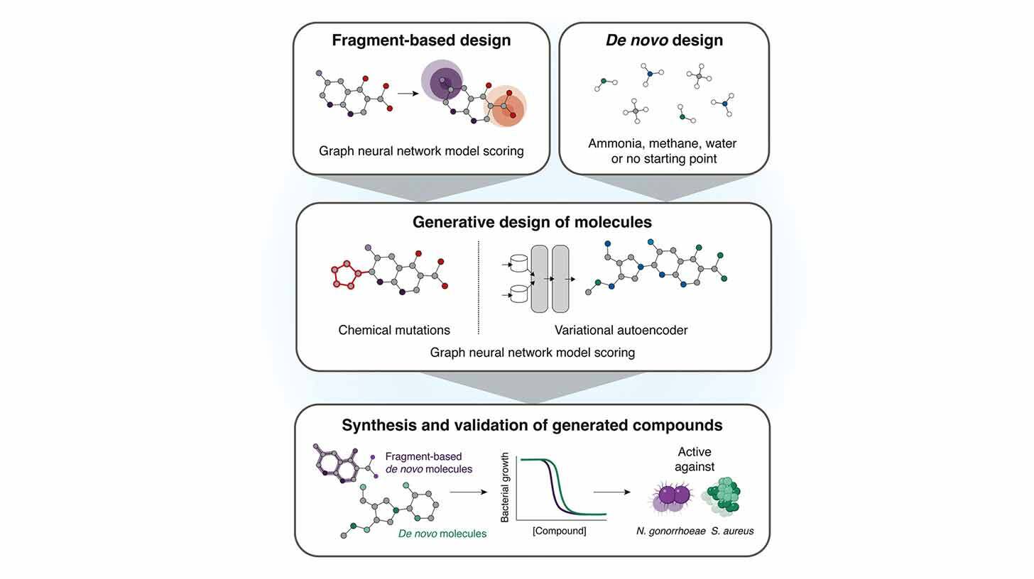 Diagramm kirjeldab molekulide generatiivset disaini. Ülemises osas on näidatud fragmentidel põhinev disain ja de novo disain, kasutades graafneuroonvõrgu mudelite hindamist. Keskmises osas on molekulide generatiivne disain läbi keemiliste mutatsioonide ja varieeruva autokodeerija. Alumises osas on toodud sünteesitud ja valideeritud ühendite analüüs, sealhulgas bakterite kasv ja aktiivsus bakterite nagu N. gonorrhoeae ja S. aureus vastu.